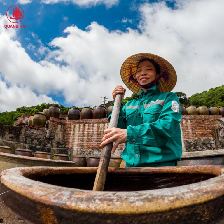 NƯỚC MẮM CÁT HẢI – QUANG HẢI: GIA VỊ TỐT CHO SỨC KHOẺ NGƯỜI DÙNG