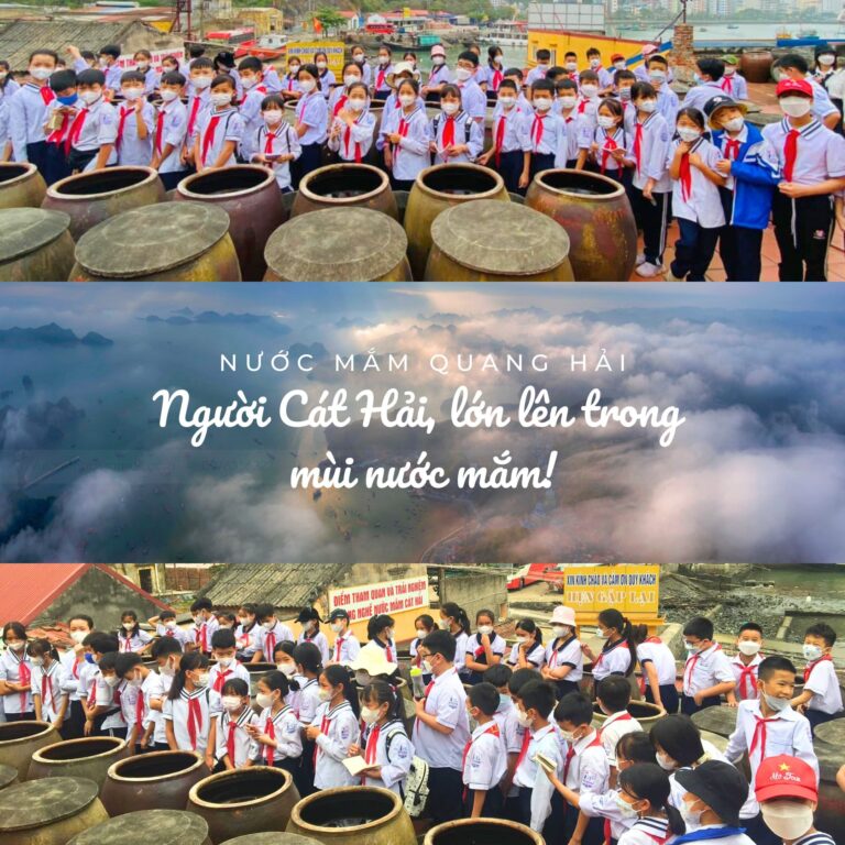 NGƯỜI CÁT HẢI: LỚN LÊN TRONG MÙI NƯỚC MẮM, HƯƠNG VỊ ĐẶC TRƯNG CỦA QUÊ HƯƠNG