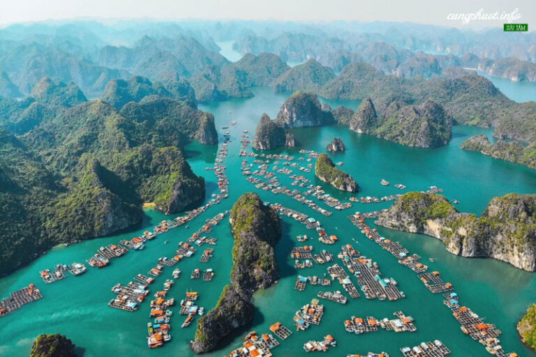 Khám Phá Cát Hải Nơi Sinh Sống và Quy Trình Chế Biến Nước Mắm