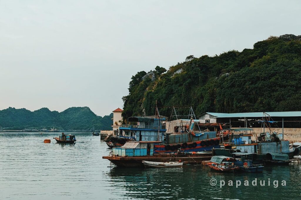 Nghiên Cứu Khoa Học về Tác Động của Biến Đổi Khí Hậu lên Chất Lượng Nước Mắm Cát Hải
