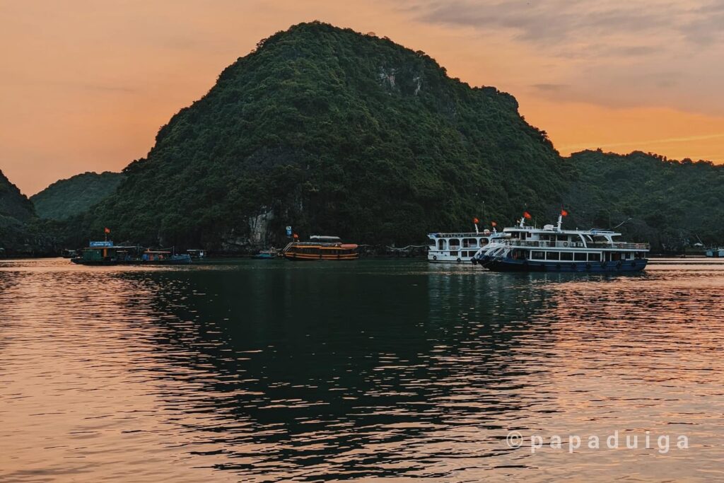 Khám Phá Hương Vị Đặc Trưng của Mắm Cát Hải trong Nước Chấm – Sự Lựa Chọn Tinh Tế của Người Yêu Ẩm Thực Việt Nam