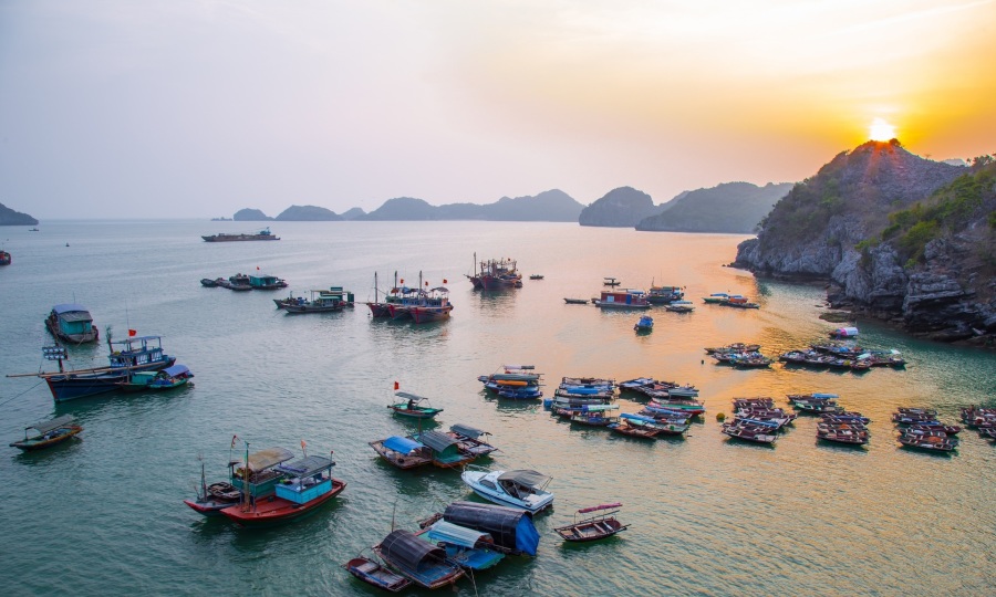 Tái Tạo Môi Trường: Giải Pháp Đảm Bảo Nguồn Nguyên Liệu cho Mắm Cát Hải