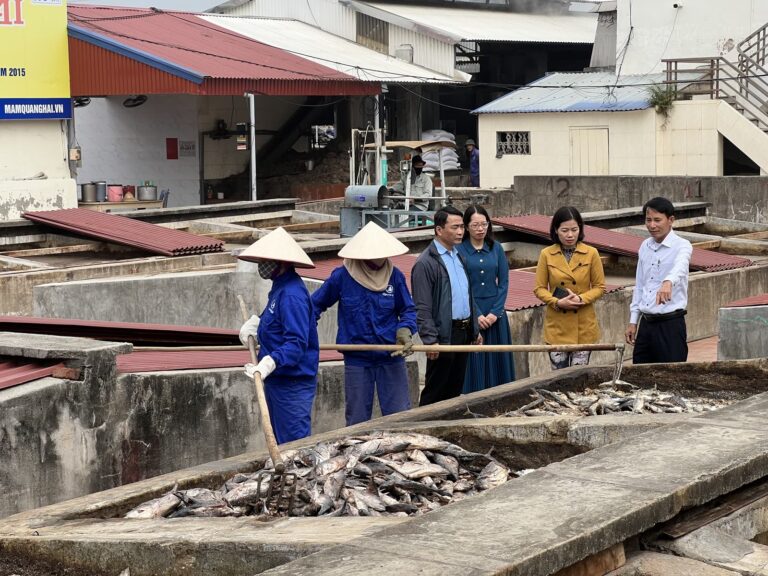 Độ đạm nước mắm là gì? Bao nhiêu độ là ngon?