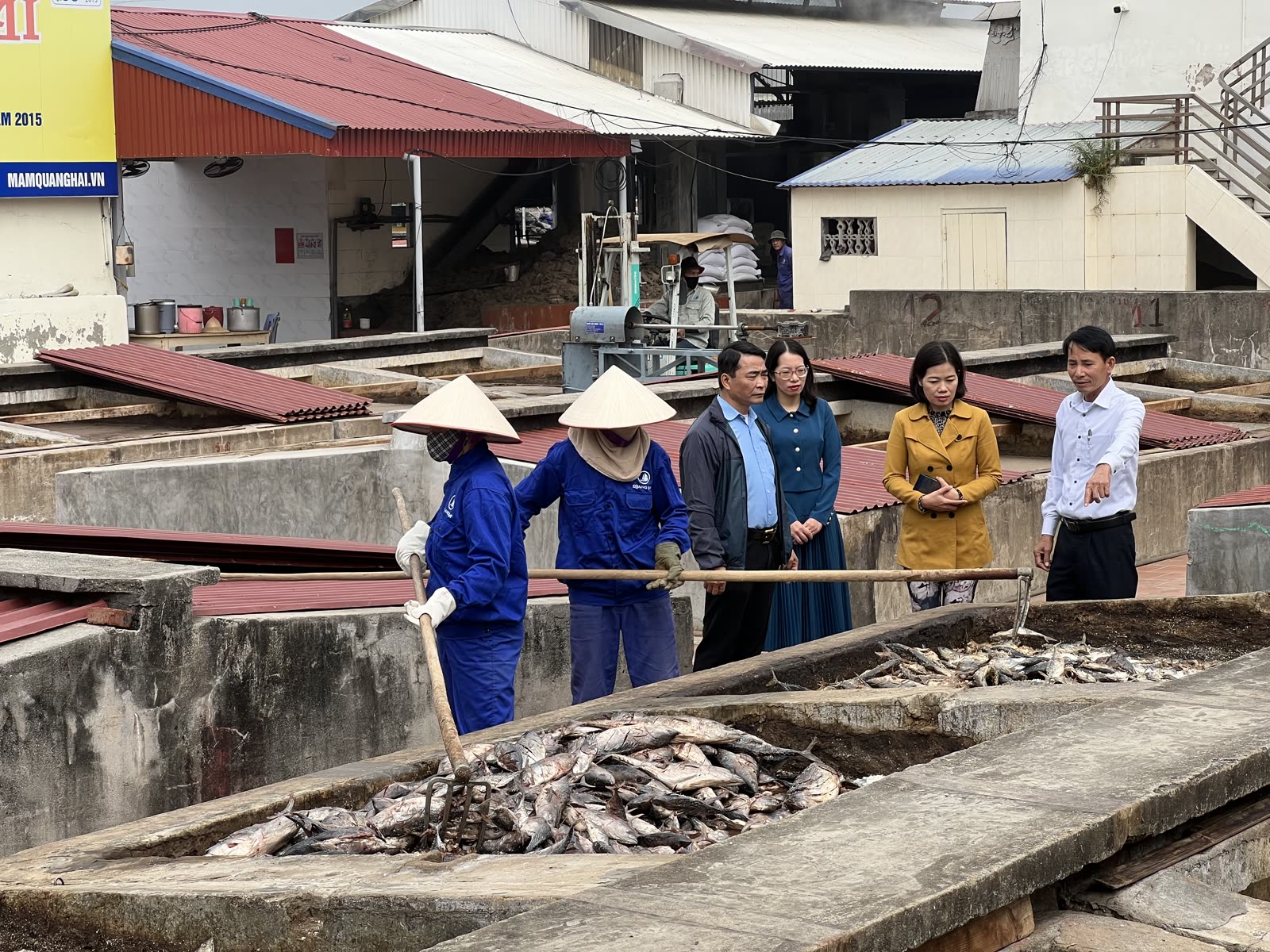 Bể ủ chượp tại xưởng nước mắm Quang Hải, Cát Hải
