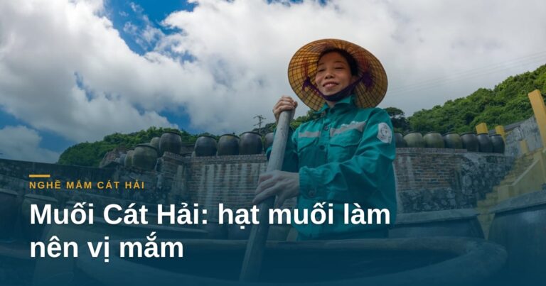 “Muối Cát Hải: hạt muối làm nên vị mắm Bắc Bộ”