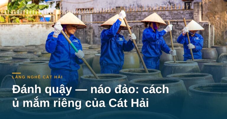 Đánh quậy — náo đảo: phương pháp ủ mắm riêng của Cát Hải khác gì gài nén Phú Quốc