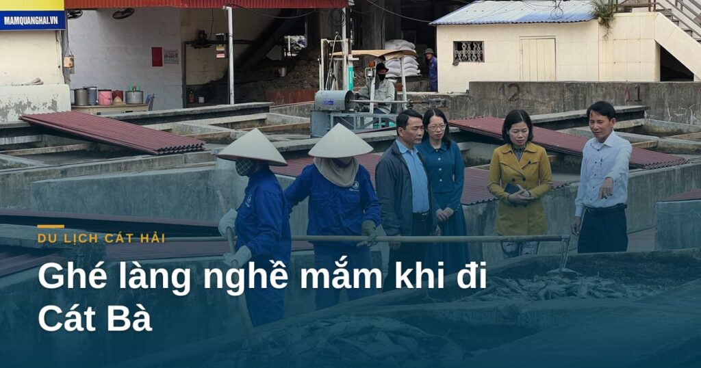 “Ghé làng nghề mắm khi đi Cát Bà: gợi ý một ngày Cát Bà và Cát Hải”