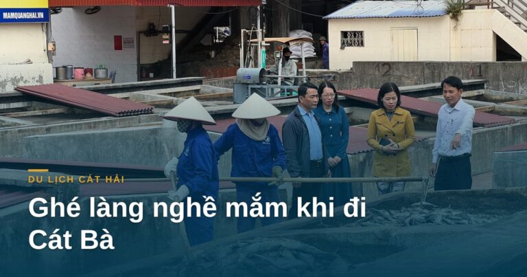 “Ghé làng nghề mắm khi đi Cát Bà: gợi ý một ngày Cát Bà và Cát Hải”