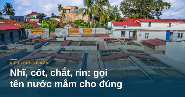 Nhĩ, cốt, chắt, rin: gọi tên nước mắm cho đúng