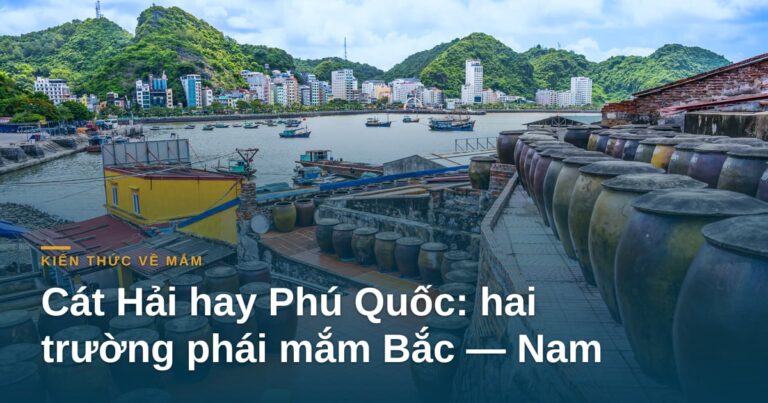 Cát Hải hay Phú Quốc: hai trường phái mắm Bắc — Nam