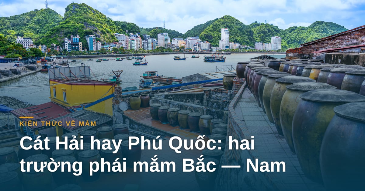 Cát Hải hay Phú Quốc: hai trường phái mắm Bắc — Nam