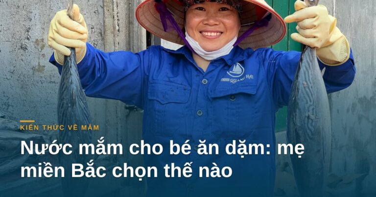 Nước mắm cho bé ăn dặm: mẹ miền Bắc chọn thế nào