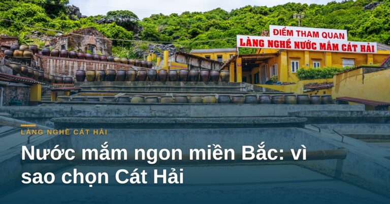 Nước mắm ngon miền Bắc: vì sao chọn Cát Hải