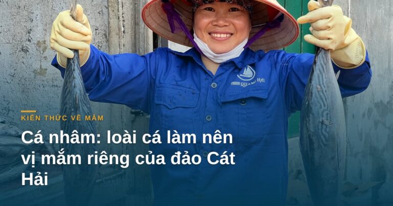 Cá nhâm: loài cá làm nên vị mắm riêng của đảo Cát Hải