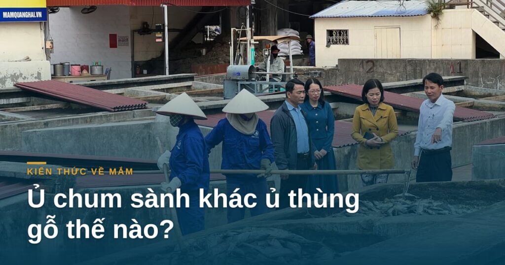 Ủ chum sành khác ủ thùng gỗ thế nào?