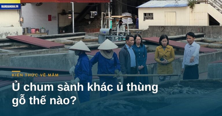 Ủ chum sành khác ủ thùng gỗ thế nào?