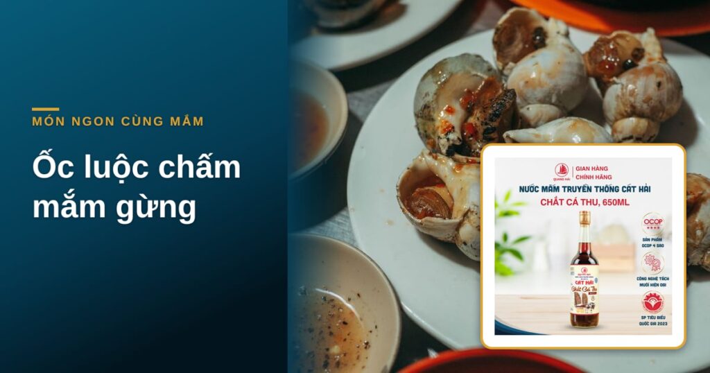 “Ốc luộc chấm mắm gừng: pha bát chấm cay thơm đúng vị”