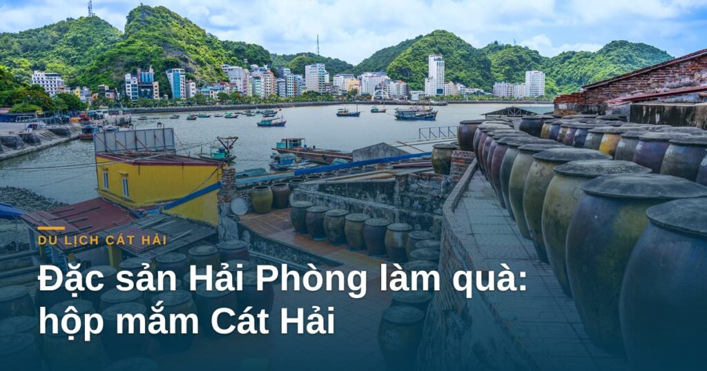 “Đặc sản Hải Phòng làm quà: chọn hộp mắm Cát Hải cho tươm tất”