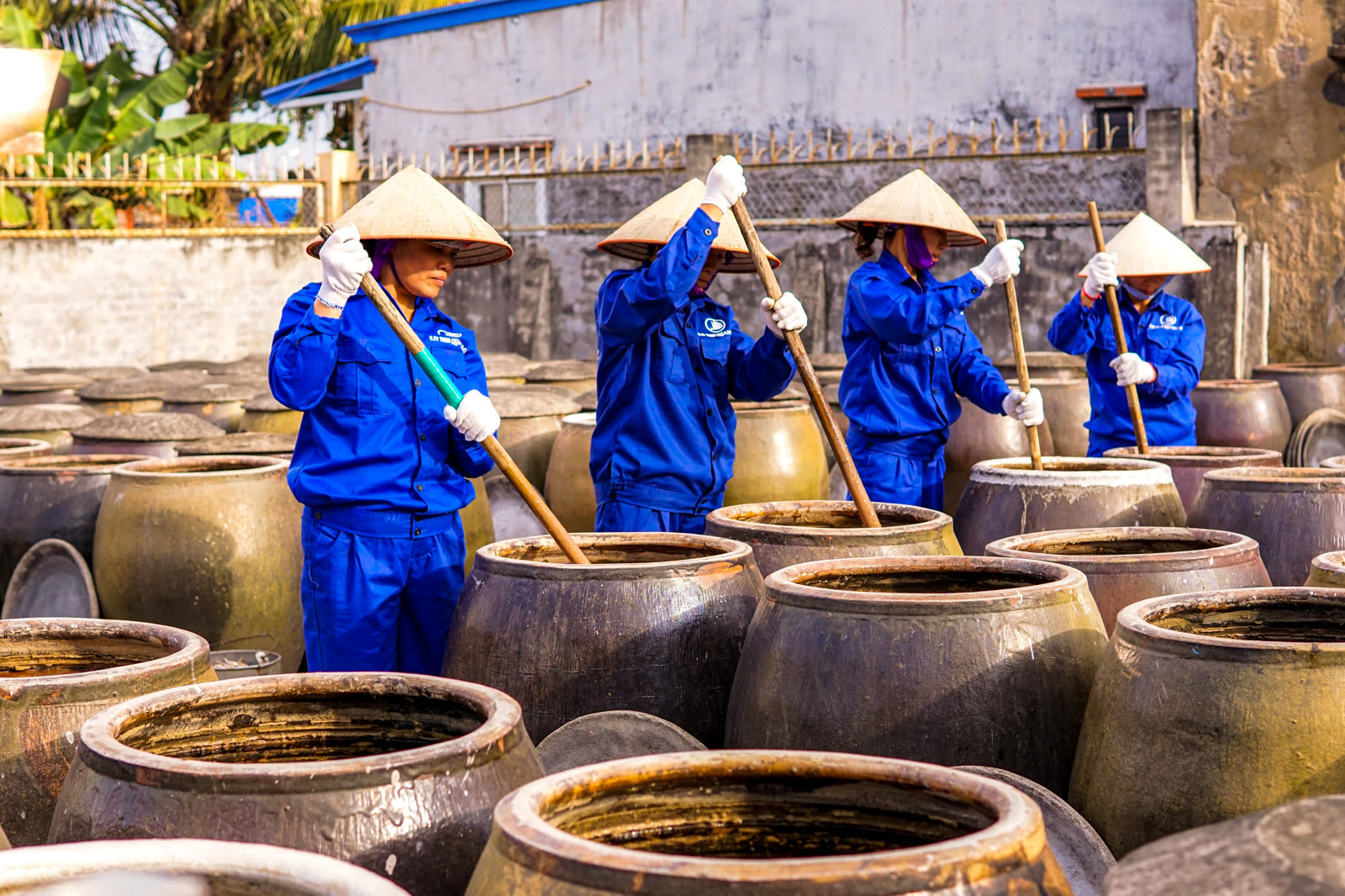 Công nhân Quang Hải đánh quậy chượp trong chum — phương pháp truyền thống Cát Hải