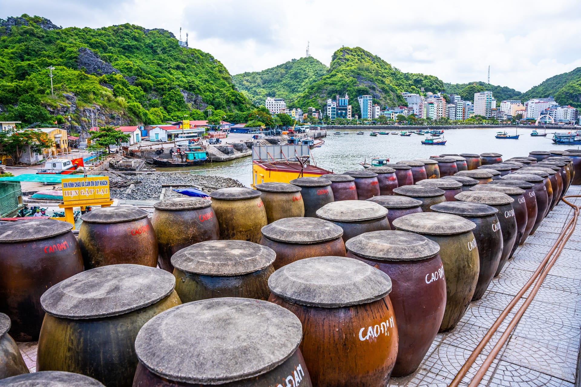 Sân chum ủ mắm nhìn ra làng chài và vịnh Cát Bà