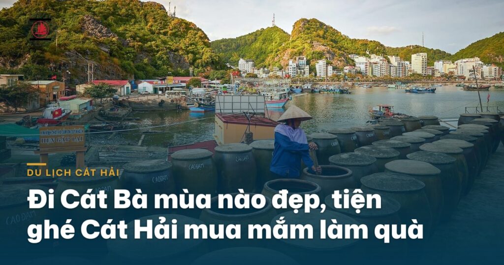 Đi Cát Bà mùa nào đẹp, tiện đường ghé Cát Hải mua mắm làm quà
