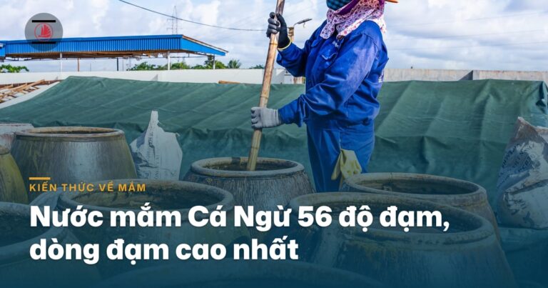 Nước mắm cá ngừ 56 độ đạm — dòng đạm cao nhất của Quang Hải