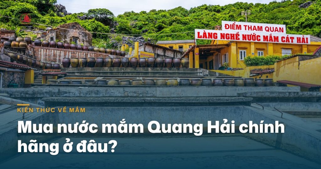 Mua nước mắm Quang Hải chính hãng ở đâu?
