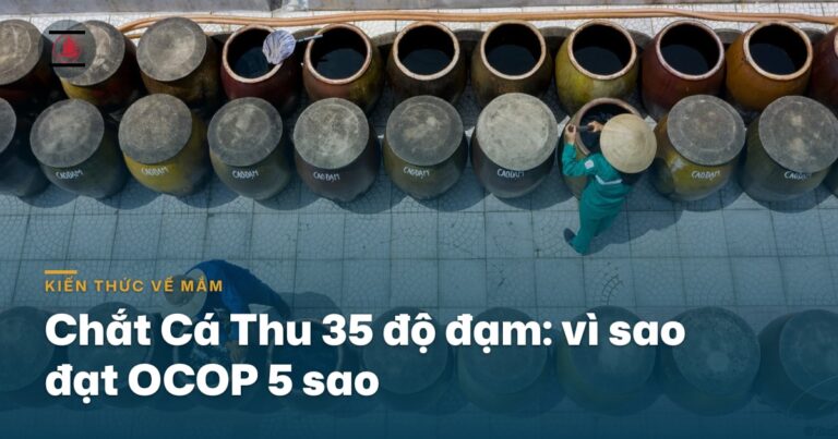 Chắt Cá Thu 35 độ đạm: vì sao đạt OCOP 5 sao Quốc gia?