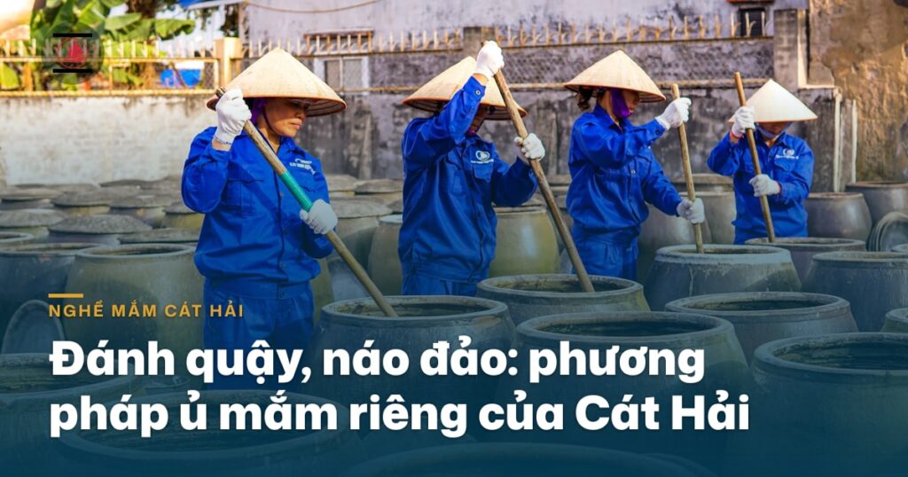 Đánh quậy — náo đảo: phương pháp ủ mắm riêng của Cát Hải khác gì gài nén Phú Quốc
