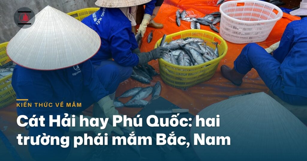 Cát Hải hay Phú Quốc: hai trường phái mắm Bắc — Nam