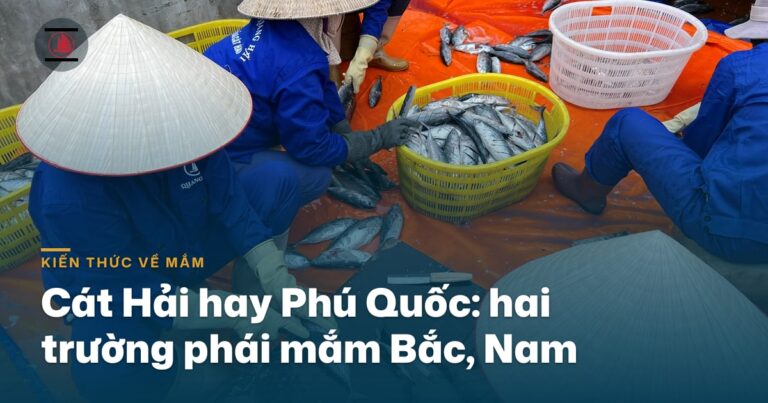 Cát Hải hay Phú Quốc: hai trường phái mắm Bắc — Nam