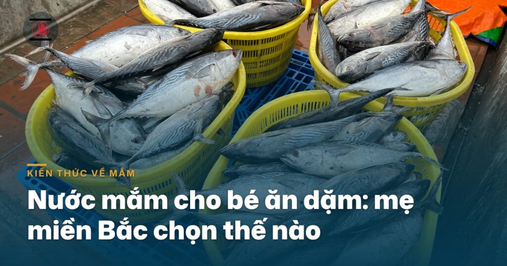 Nước mắm cho bé ăn dặm: mẹ miền Bắc chọn thế nào