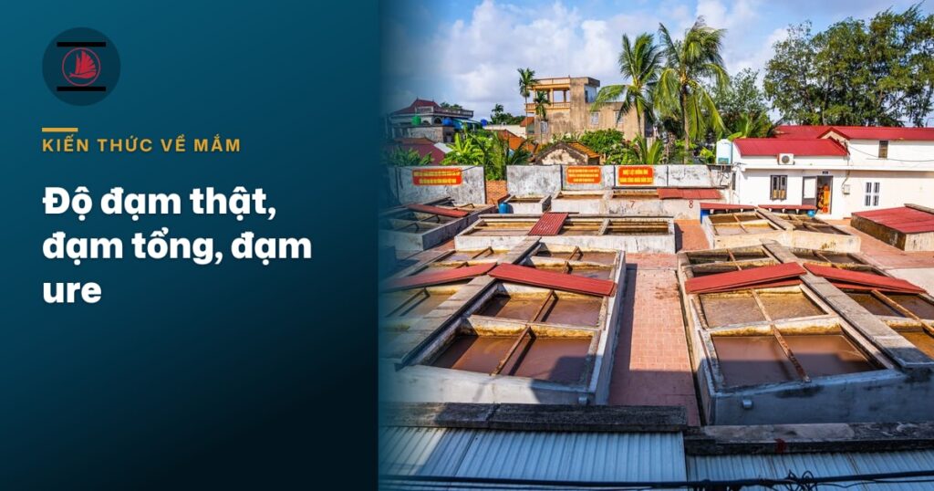 Độ đạm thật, đạm tổng, đạm ure: đọc nhãn không bị lừa