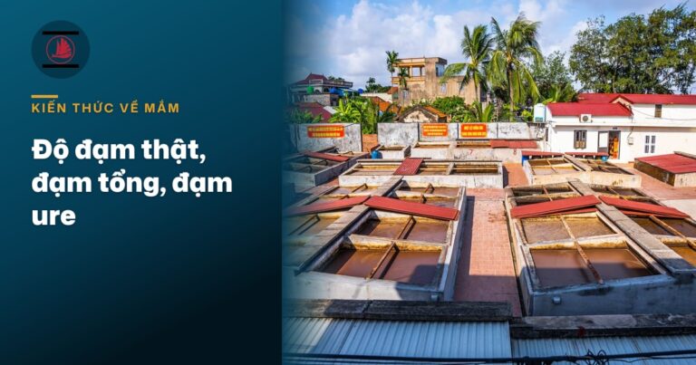 Độ đạm thật, đạm tổng, đạm ure: đọc nhãn không bị lừa