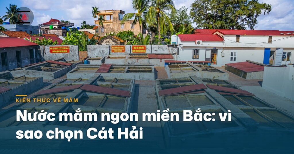 Nước mắm ngon miền Bắc: vì sao chọn Cát Hải