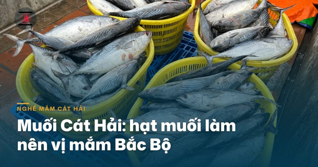 “Muối Cát Hải: hạt muối làm nên vị mắm Bắc Bộ”
