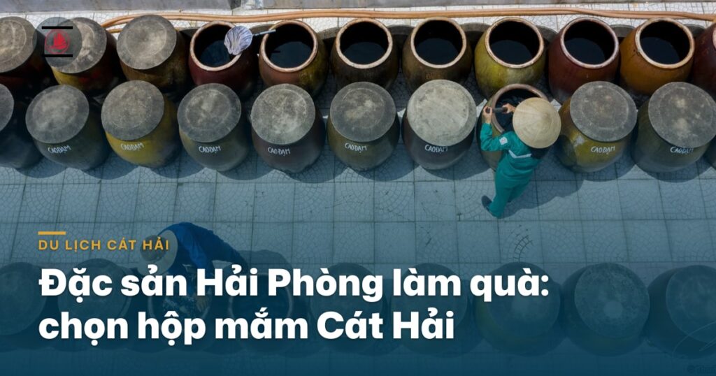 “Đặc sản Hải Phòng làm quà: chọn hộp mắm Cát Hải cho tươm tất”