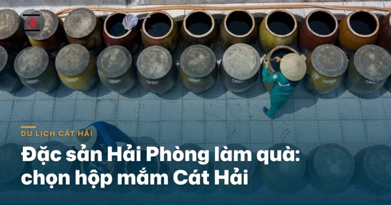 “Đặc sản Hải Phòng làm quà: chọn hộp mắm Cát Hải cho tươm tất”