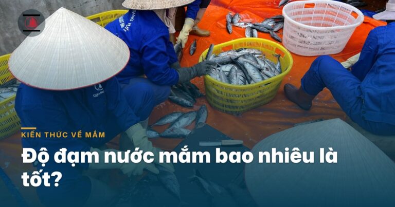 Độ đạm nước mắm bao nhiêu là tốt? Đọc nhãn sao cho không mua nhầm mắm “ảo đạm”