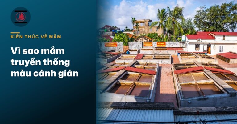 Vì sao nước mắm truyền thống có màu cánh gián, để lâu vẫn không đổi mùi?