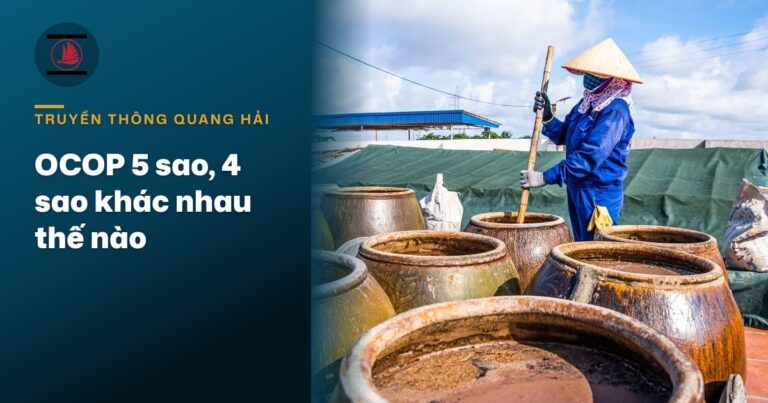 OCOP 5 sao và OCOP 4 sao khác nhau thế nào, dòng nào của Quang Hải đạt hạng nào