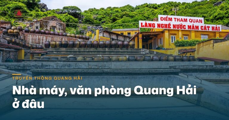 Nhà máy, văn phòng Quang Hải ở đâu