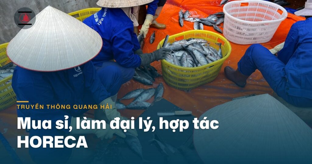 Mua sỉ, làm đại lý, hợp tác HORECA với Quang Hải liên hệ thế nào