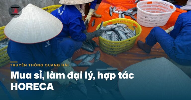 Mua sỉ, làm đại lý, hợp tác HORECA với Quang Hải liên hệ thế nào