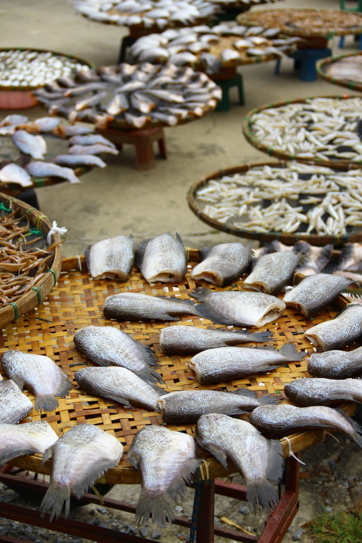 Cá phơi trên nong tre ngoài nắng (ảnh minh họa)