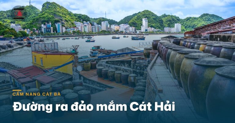 Cầu Tân Vũ – Lạch Huyện: con đường ra đảo mắm Cát Hải, tiện ghé trên đường đi Cát Bà