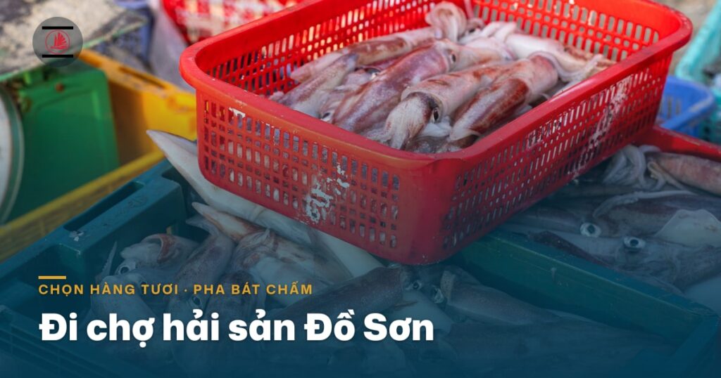 Đi chợ hải sản Đồ Sơn: chọn hàng thế nào cho tươi, mua về pha bát chấm gì
