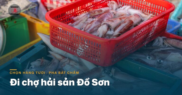 Đi chợ hải sản Đồ Sơn: chọn hàng thế nào cho tươi, mua về pha bát chấm gì