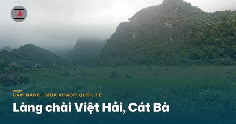 Làng chài Việt Hải ở Cát Bà: đi đường nào, ở lại làm gì khi mùa khách quốc tế về
