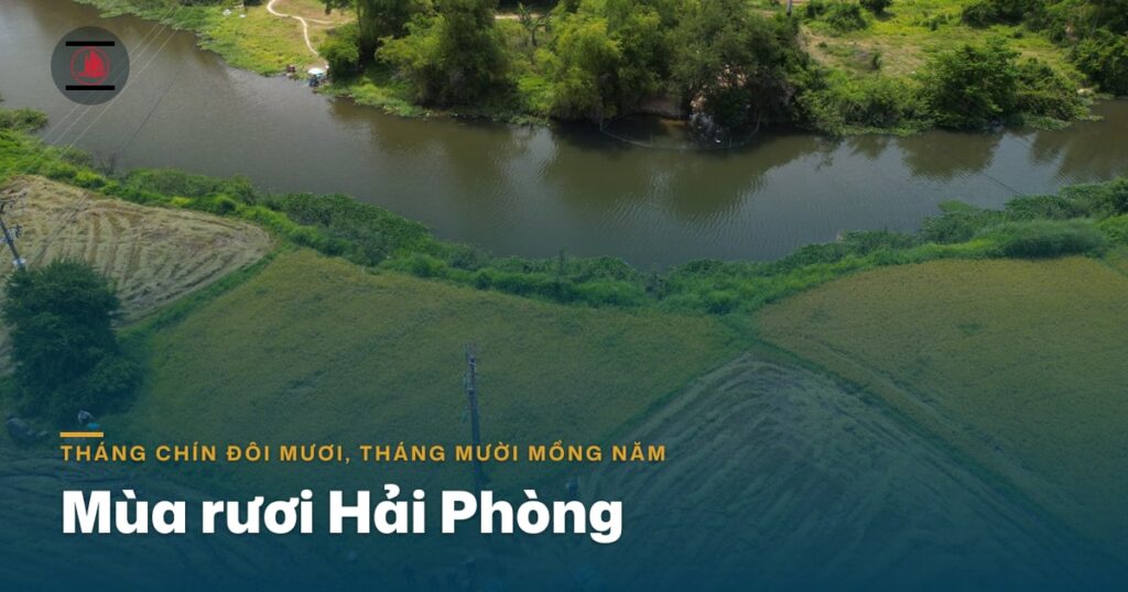 Mùa rươi Hải Phòng: “tháng chín đôi mươi, tháng mười mồng năm” và những món ăn đợi cả năm